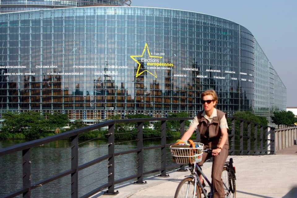 Anna Hedh företräder de stora företagens intresse i Europaparlamentet, skriver Amelia Andersdotter.foto: scanpix