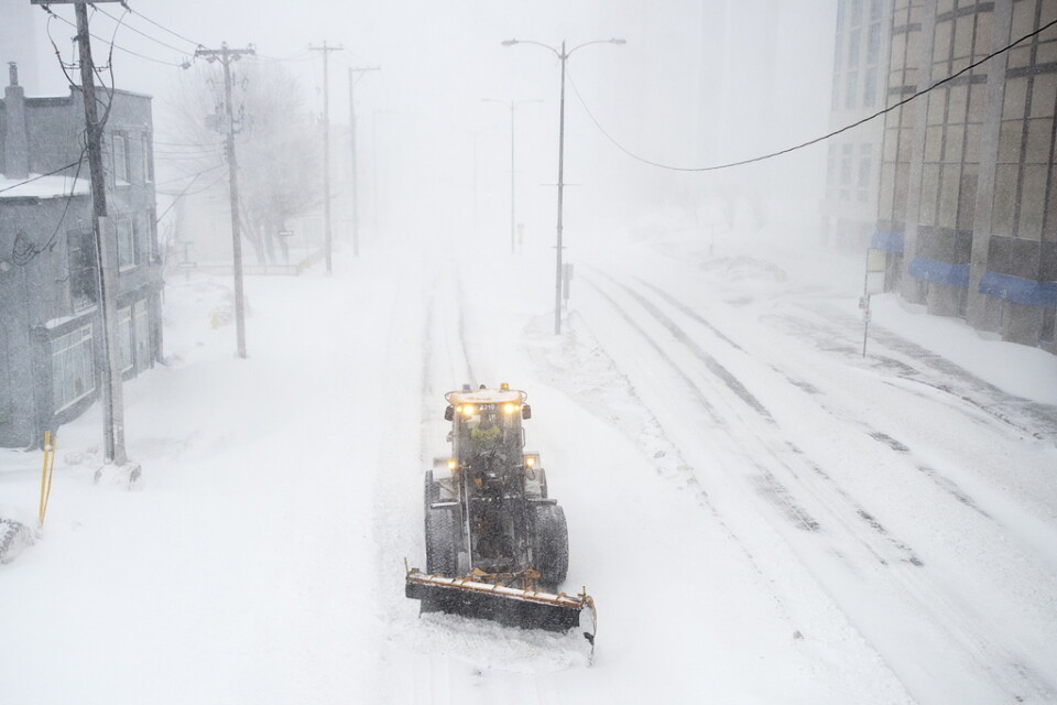 En snöplog i arbete i S:t John's i fredags, då över 75 centimeter snö föll över staden, i kombination med orkanvindar.