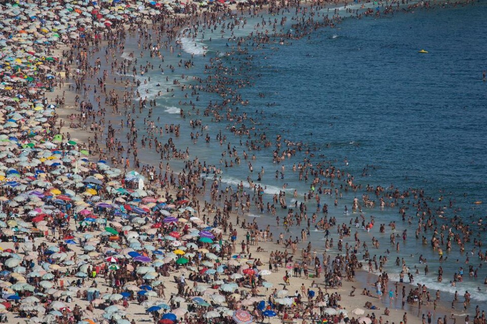 Virus- och bakterienivåerna i tävlingsvattnet utanför Rio de Janeiro är så höga att de riskerar göra nästa års OS-deltagare allvarligt sjuka. Tester utförda av nyhetsbyrån AP i vattnen där simning, rodd, segling och triathlon ska avgöras, visar att halt