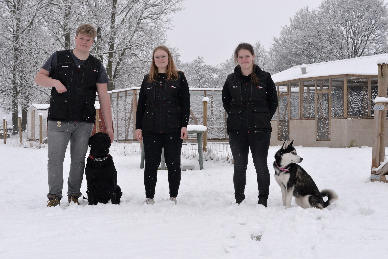 Anton Mårtensson, Alicia Cedergren och Ida Wremerth är tre av blott fyra elever som går inriktning hund.