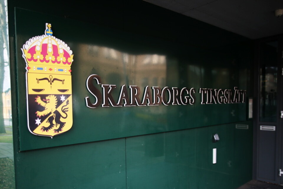 En kvinna åtalas vid Skaraborgs tingsrätt för grov egenmäktighet med barn. Arkivbild.