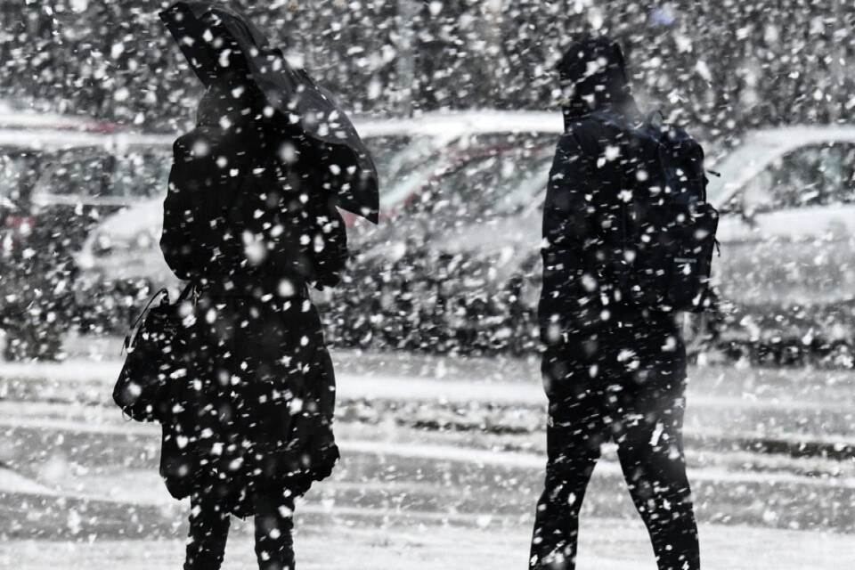 Ymnigt snöfallet i Malmö vid lunchtid på tisdagen som sedermera gick över i regn.