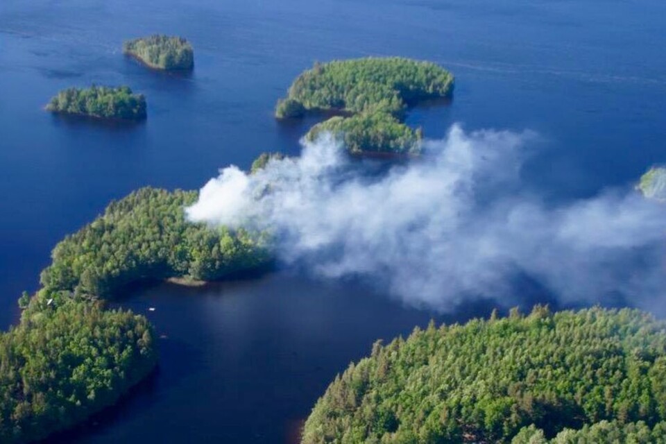 De flesta av Immelns öar är på något sätt brandskadade efter de senaste årens bränder. Sedan den 19 maj råder det eldningsförbud i nordöstra Skåne, sedan den 23 maj i hela länet.