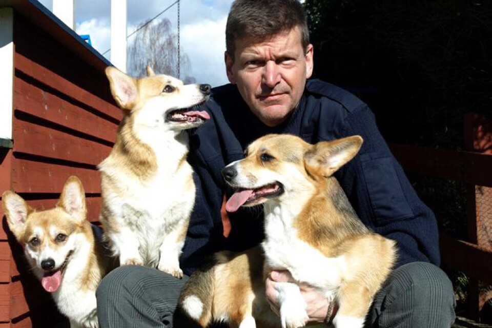 Tommy Lake tävlar i World Dog Show med sina hundar i veckan.