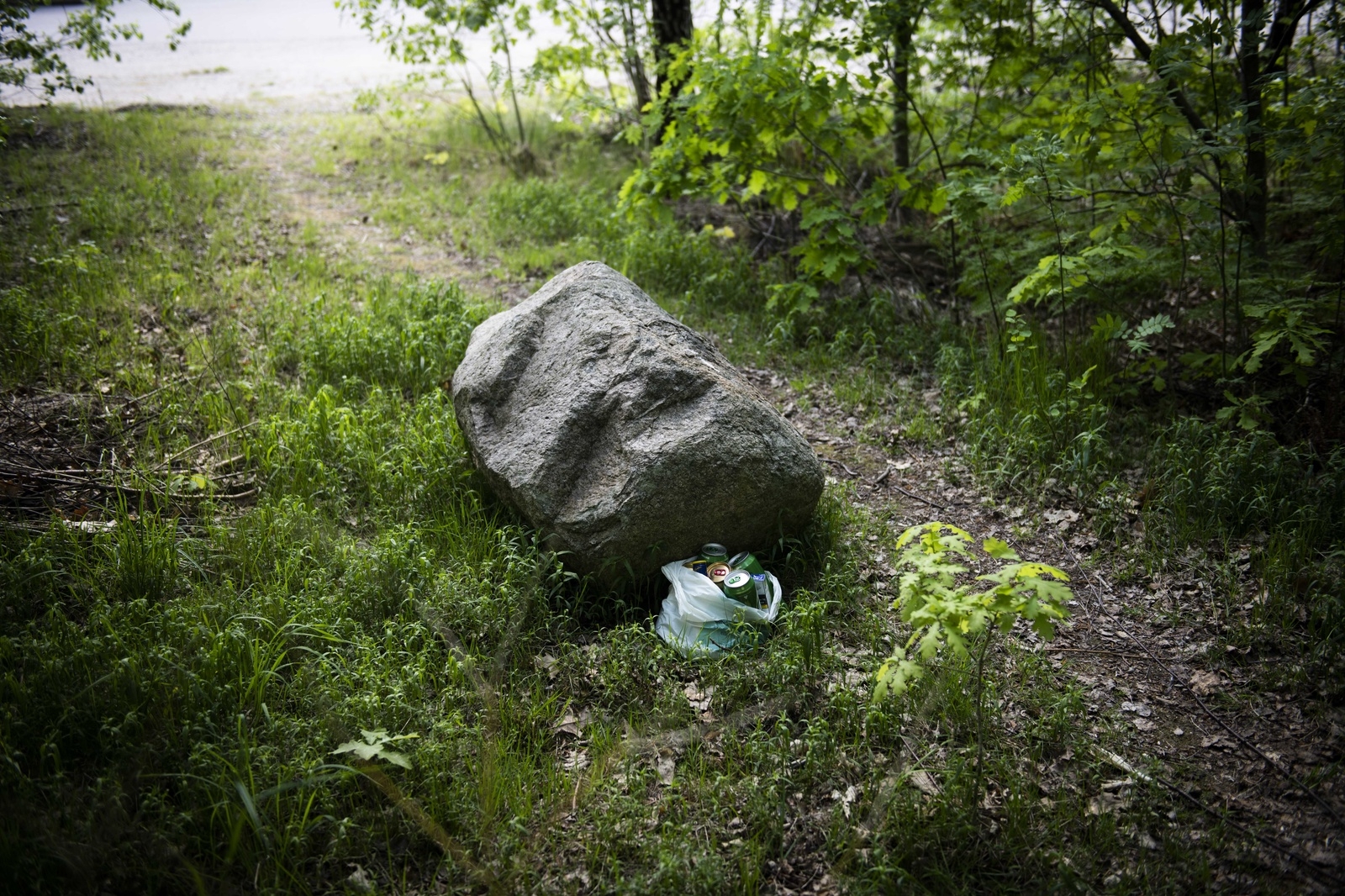 En specifik sten i skogen brukade politikern lämna alkohol som Emil kunde hämta, berättar han. Bilden är arrangerad.