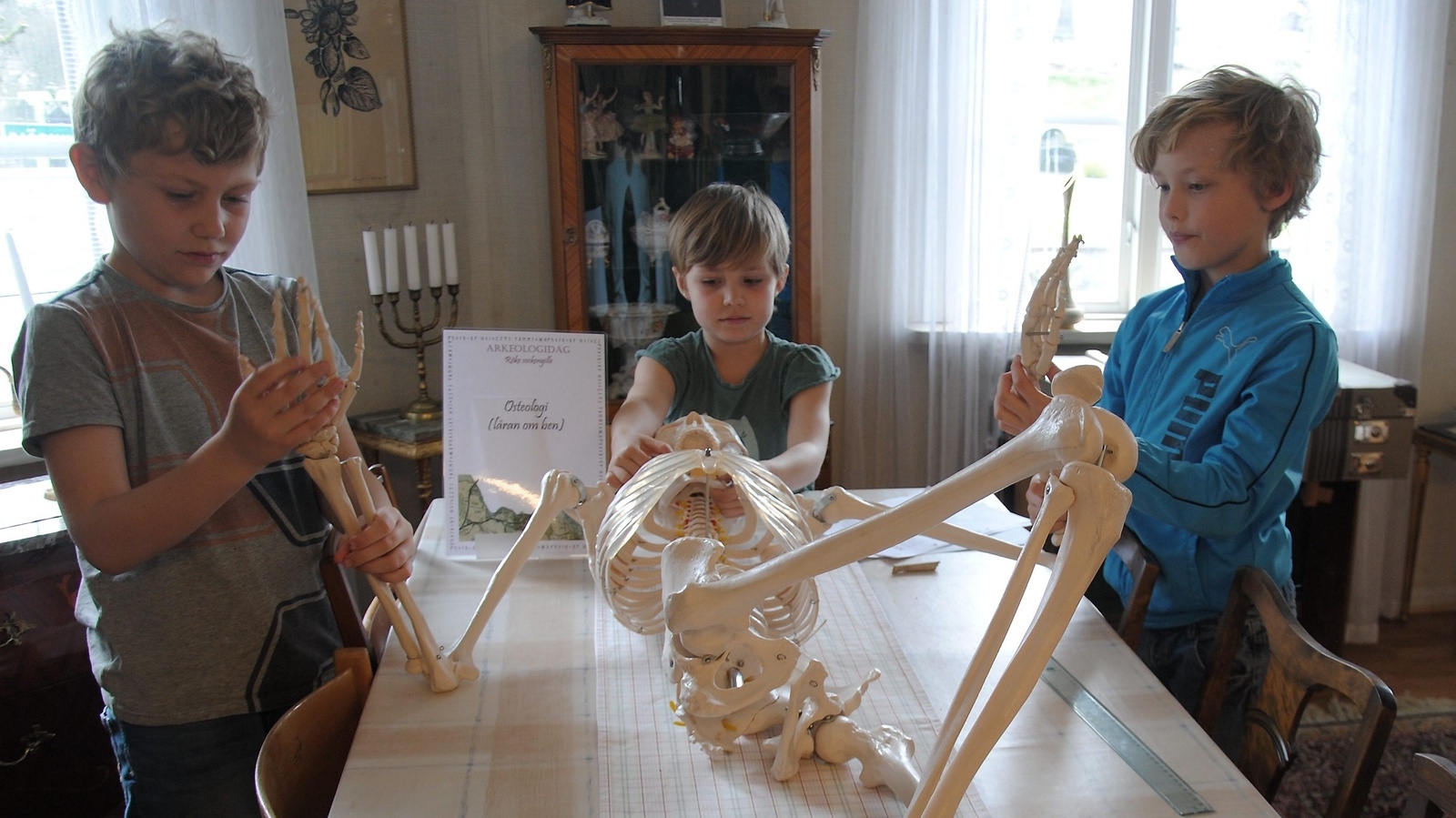 Jakob, Ina och Vidar studerar skelettet av en man, som lagt på ett bord i sockenstugan. Som arkeolog ska man veta vad de olika benen heter och hur de hänger ihop.     Foto. Stefan Olofson