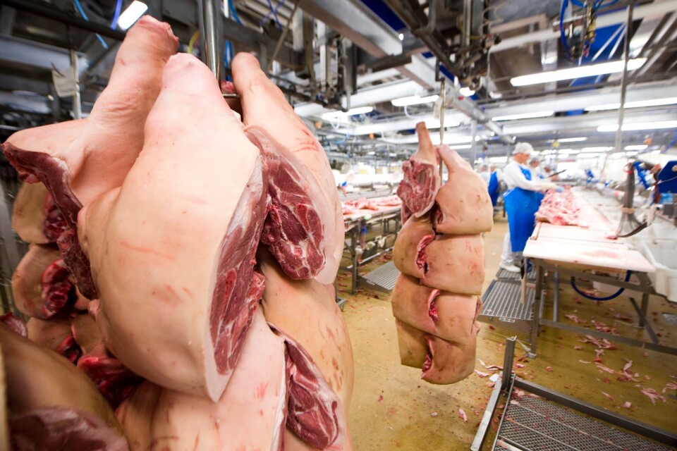 Svensk livsmedelsproduktion innebär högre djurvälfärd än i andra länder, hävdar insändarskribenten.