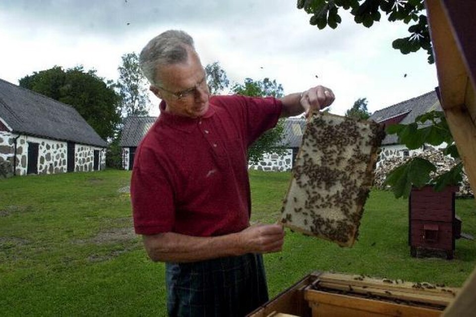 Gott honungsår blir det i år, konstaterar Roland Bengtsson och gissar på ett 60-tal kilo per kupa.