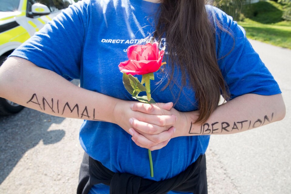 Frihet åt djuren är budskapet som bärs fram av en person som deltar i en aktion utanför ett slakteri i Norge.