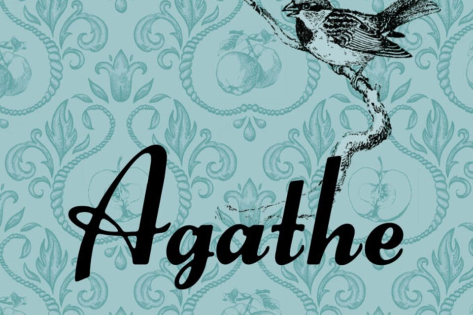 Anne Cathrine Bomanns debut ”Agathe” utspelar sig i 40-talets Paris och är en stor roman i litet format om kärleken, döden och livet.