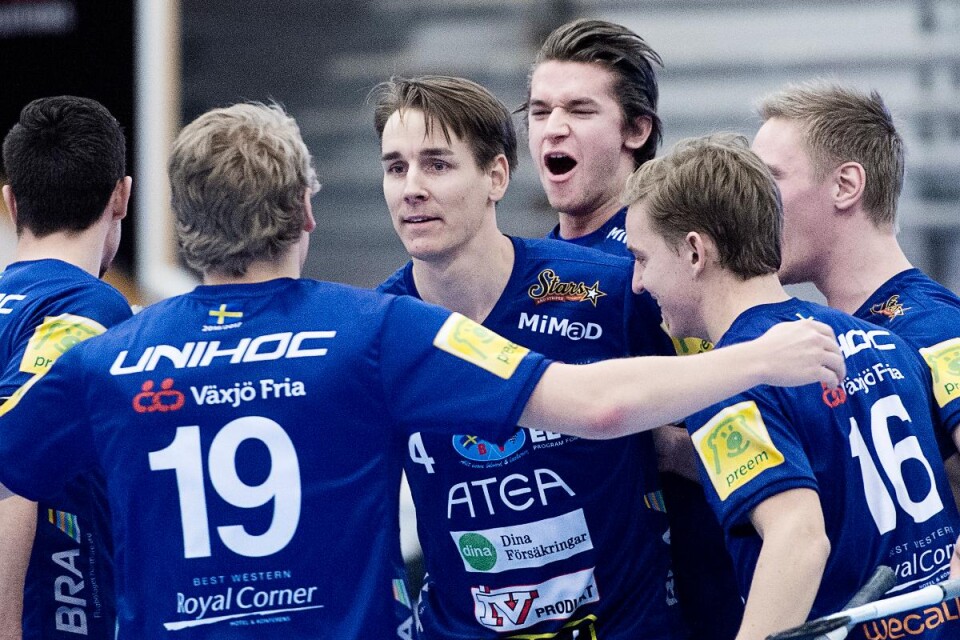 Växjö Vipers fick måljubla åtta gånger i matchen mot Mullsjö.