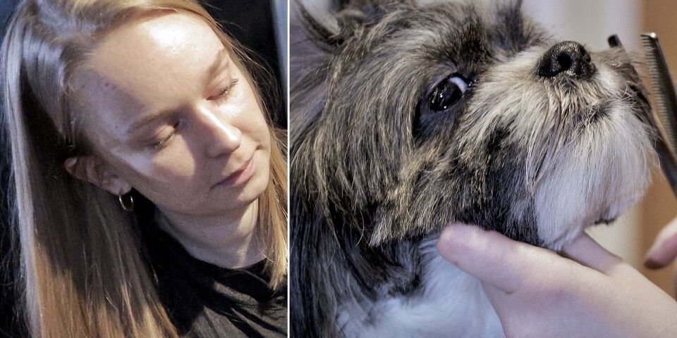 Sofia, 27, fångade sin passion för djur – och startade eget i Borås