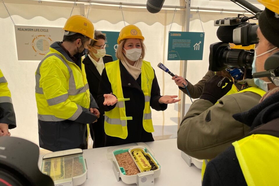 Frankrikes miljöminister Barbara Pompili (mitten) lägger ut orden om en hållbar framtid på en blivande insektsfabrik i norra Frankrike.