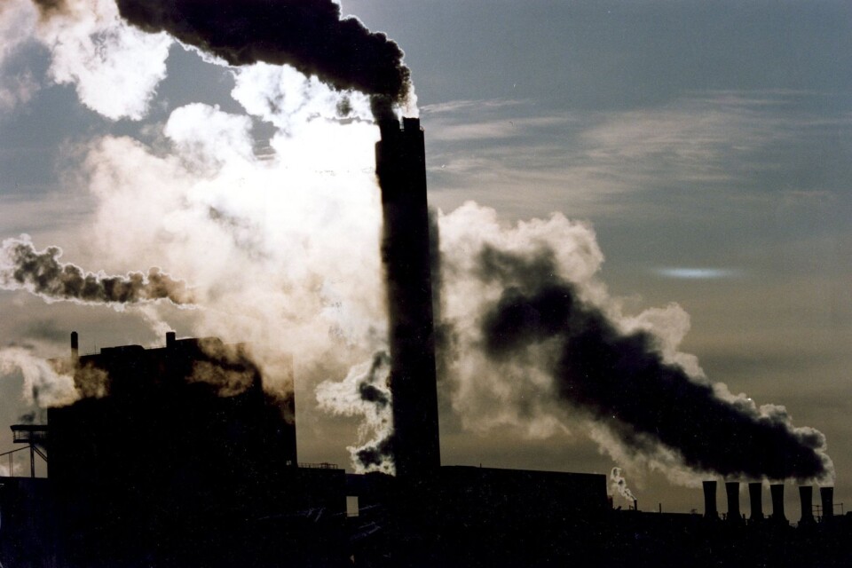 Miljöförstöring är oftare än vi tror understödd av bidrag och lägre skattenivåer.