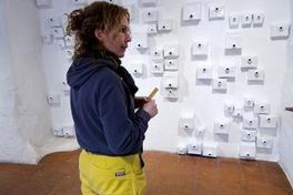 &#x96; Man kan säga att jag har gjort en transformation av en icke-produkt, säger Åsa Lindsjö om delaran i sin installation "Asyl". Bilder: Tommy Svensson