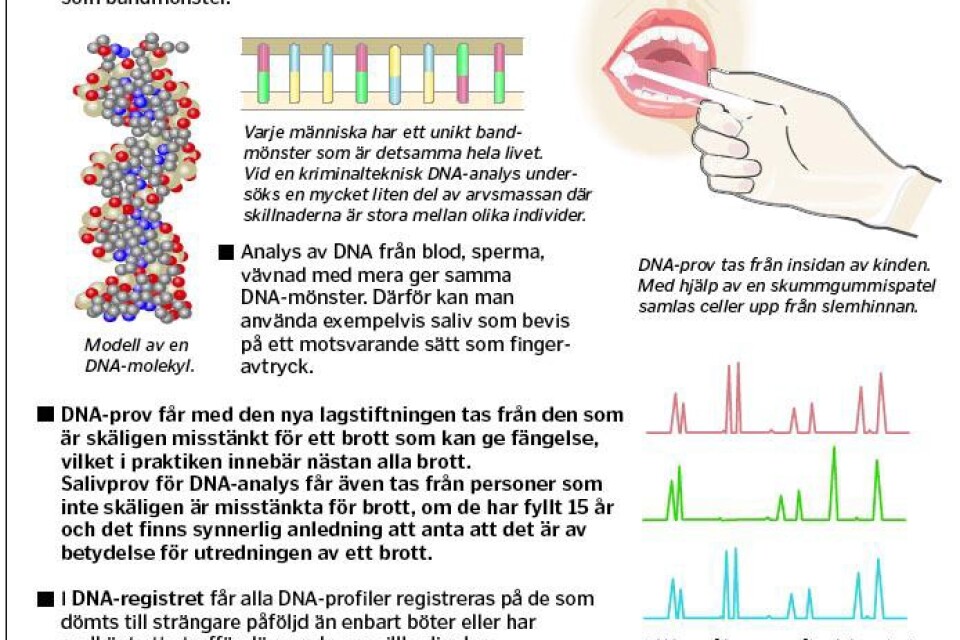Grafik DNA-tester. Klicka på bilden så ser du den större.