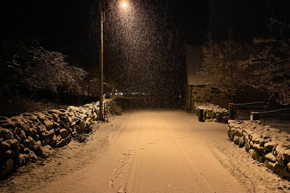Under tidig tisdagsmorgon lade sig snön tillrätta i Gamla Arkelstorp.