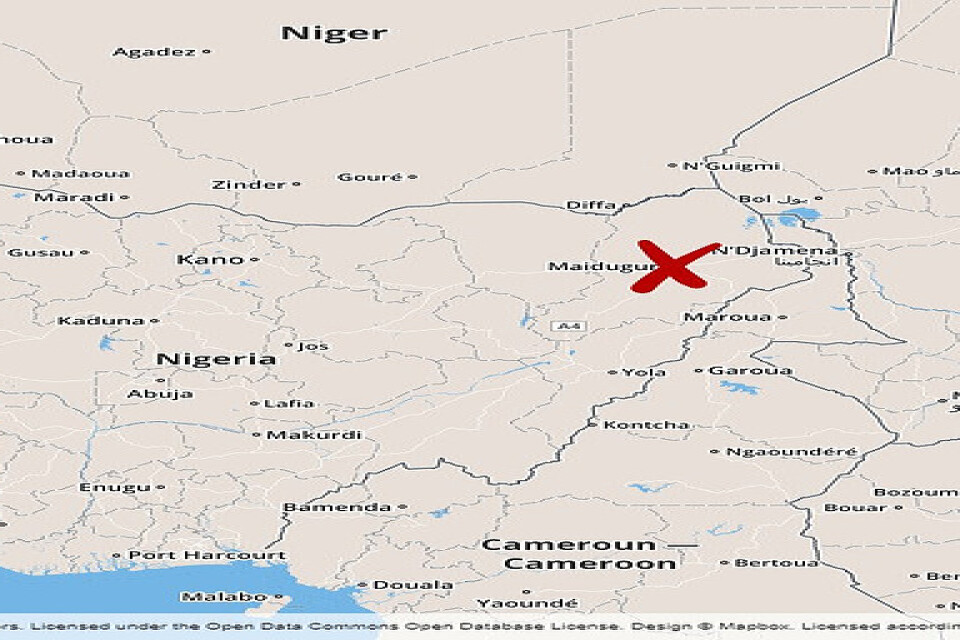 Minst åtta människor har dödats i nordöstra Nigeria.