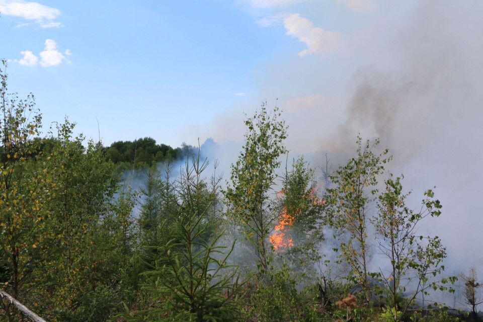 Bilder från skogsbranden söder om Torestorp.