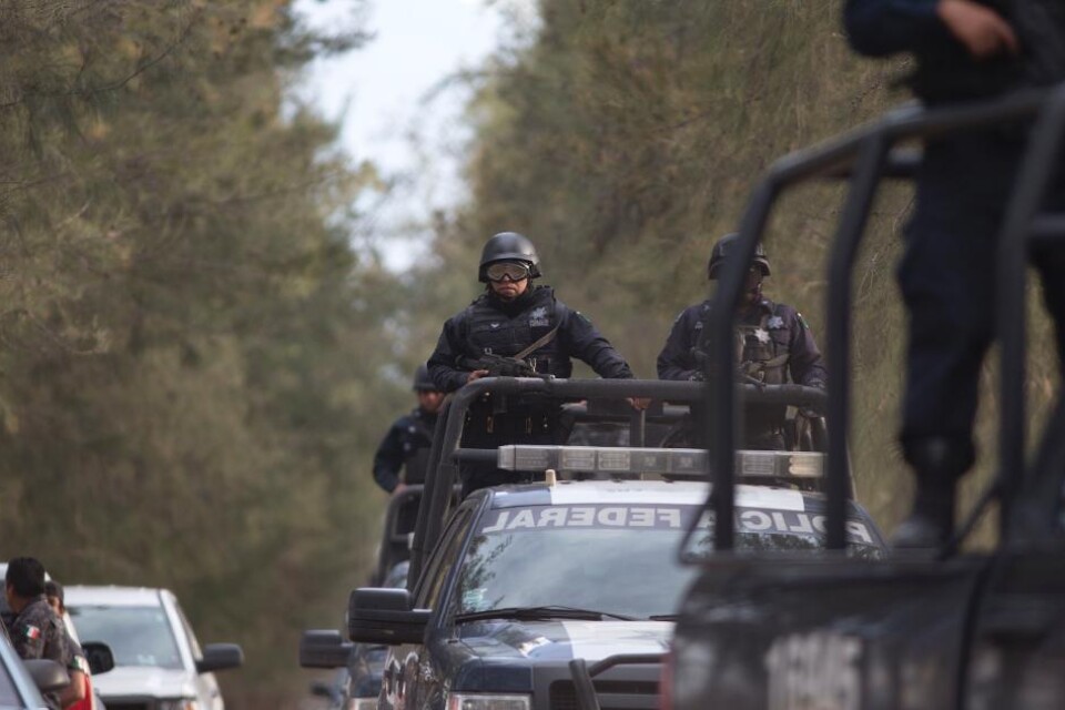 Minst 43 människor har dödats i sammandrabbningar mellan polis och beväpnade personer, som misstänks tillhöra en drogkartell, på en ranch i delstaten Michoacan i västra Mexiko, uppger regeringskällor. En av de döda var en polisman, medan ytterligare en