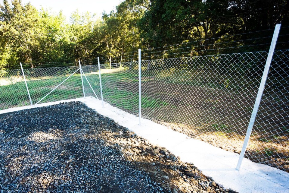The thieves got into the area by cutting holes in the eastern part of the fence (two metres high). The fence was repaired at the beginning of the week.
