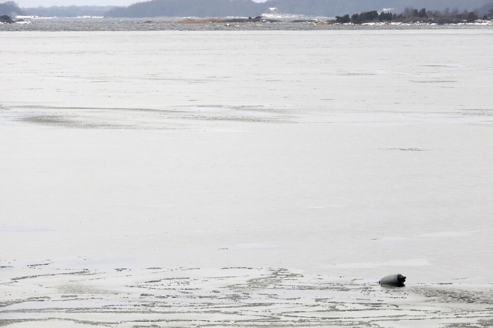 En säl har fastnat i isen vid Saltö, lät larmet till SOS under måndagsförmiddagen. Men en stund senare konstaterades att det handlade om en boj.