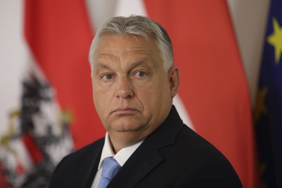 Ungerns premiärminister Viktor Orban har gjort en märkligt politisk resa, åt fel håll.