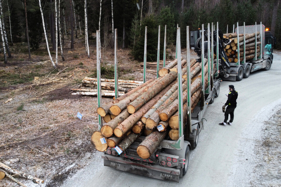 En timmerbil i Enköping. Exporten av skogsvaror ökade i värde under 2021. Arkivbild.