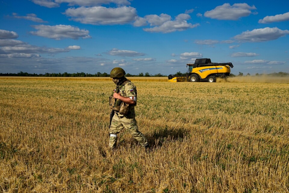 En rysk soldat på en ukrainsk åker. Bilden tagen den 14 juli i år, på en rundtur arrangerad av det ryska försvarsdepartementet.