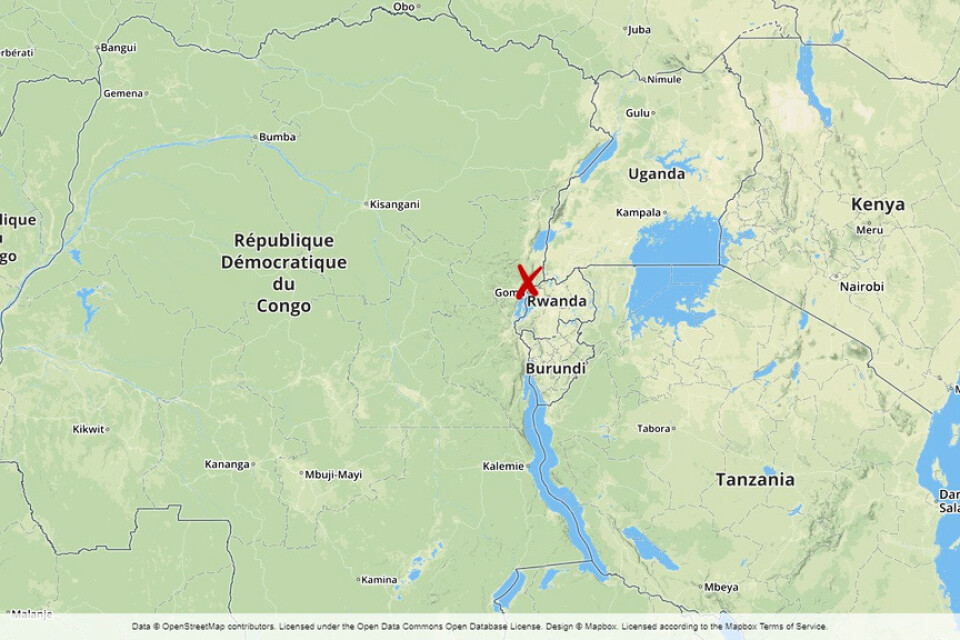Den rwandiske milisledaren Musabimana Juvenal har dödats i Kongo-Kinshasa.