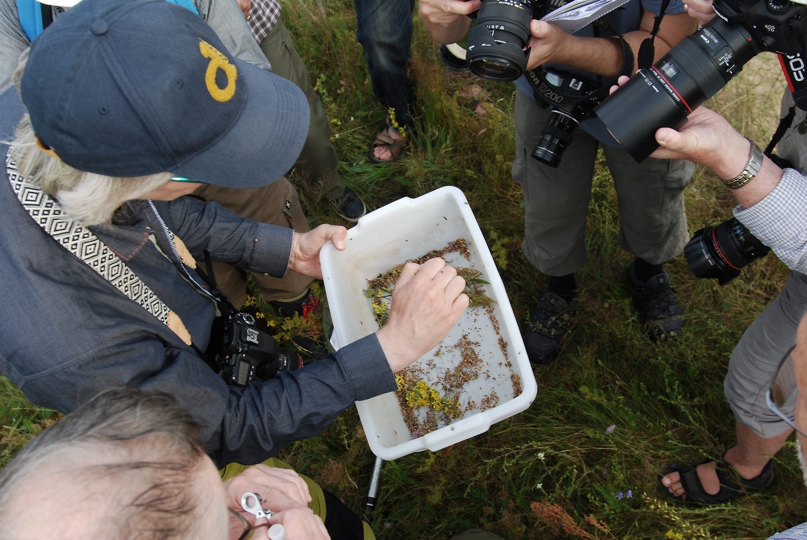 Pål Axel Olsson visar sin fångst. Istället för att samla in försöker de att fotografera insekterna.