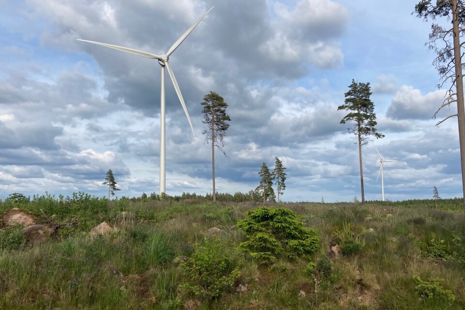 ”När inte ens Sveriges mest pådrivande vindkraftsförespråkare tillika före detta minister vill bo nära ett vindkraftverk är det kommunala självbestämmandet angeläget att värna om”, skriver debattörerna.