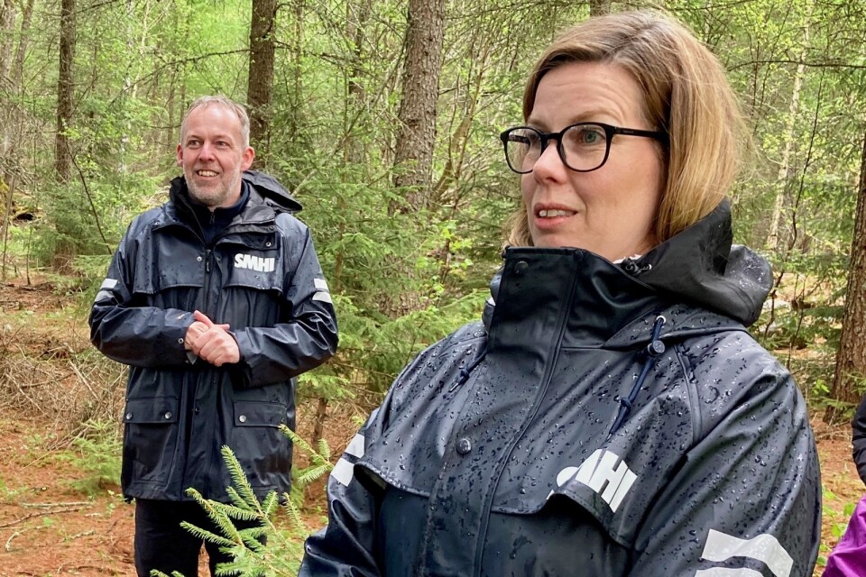 Christian Rönnebring och Alexandra Birger-Röör är projektledare för SMHI:s kurs i klimatanpassat skogsbruk.