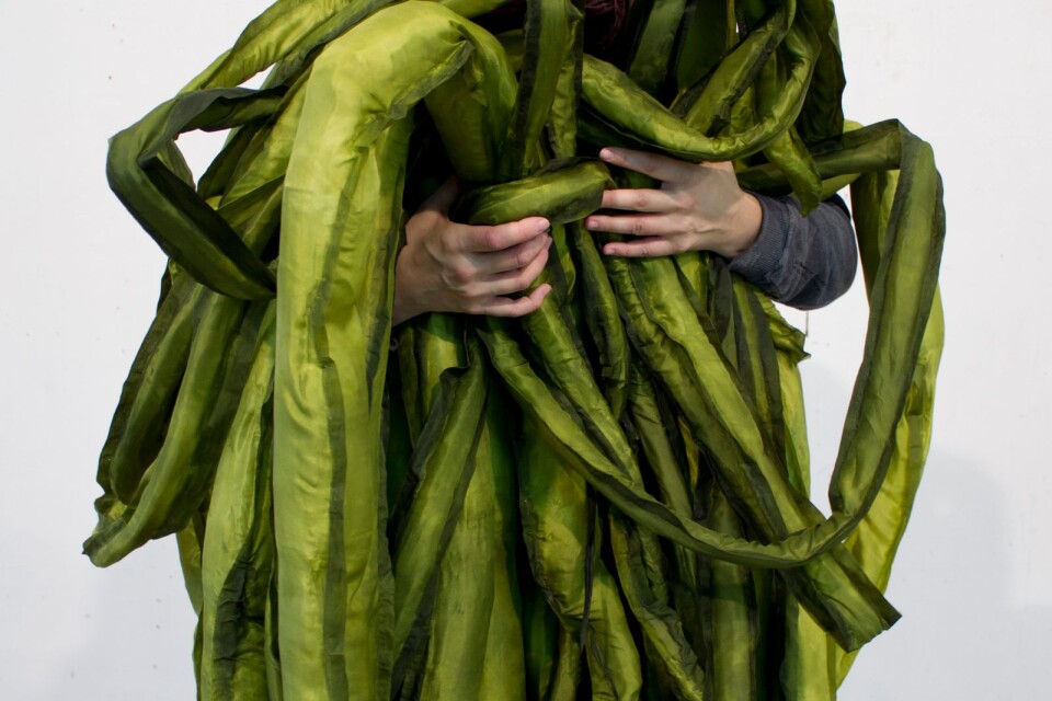 I utställningen ”A great seaweed day” från 2019 undersökte Ingela Ihrman grönalgen tarmtång som hon ser som en länk mellan floran i tarmen och floran i havet.