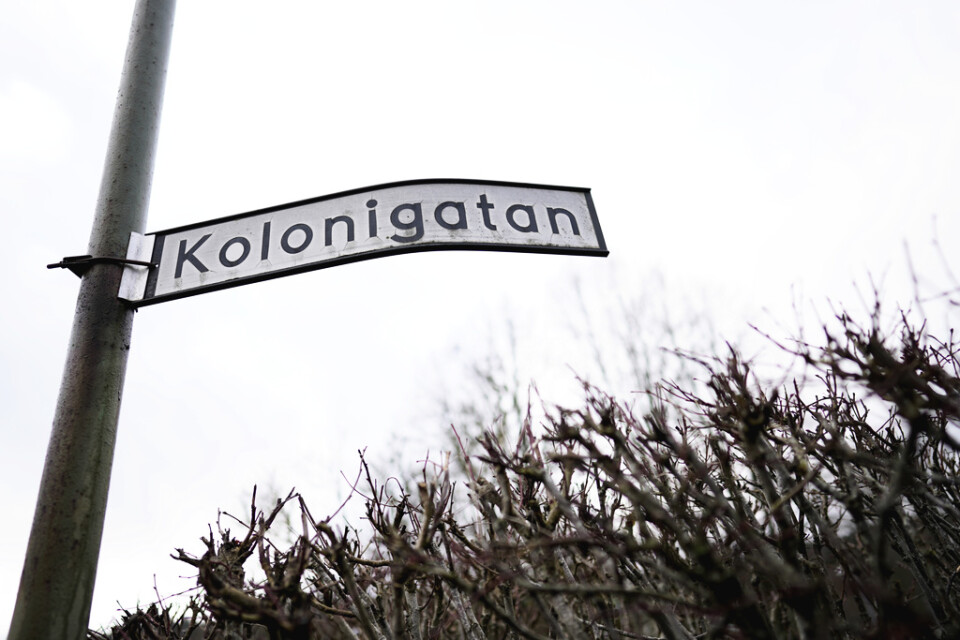 En misstänkt gärningsman försvann in i ett villaområde efter knivattacken i Borås då en äldre man miste livet.