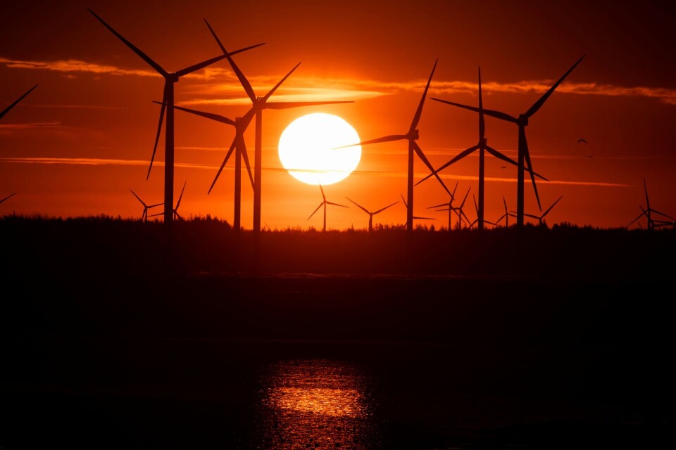 Den enda energikälla som på kort sikt har potential att snabbt kunna ge Sveriges gröna industrier den energi de behöver är vindkraften, skriver artikelförfattarna.