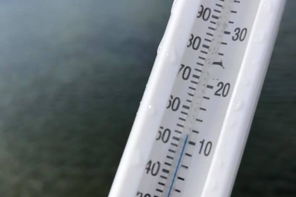 Termometern visade på 11 grader på söndagsmorgonen i hamnen i Vitemölla.