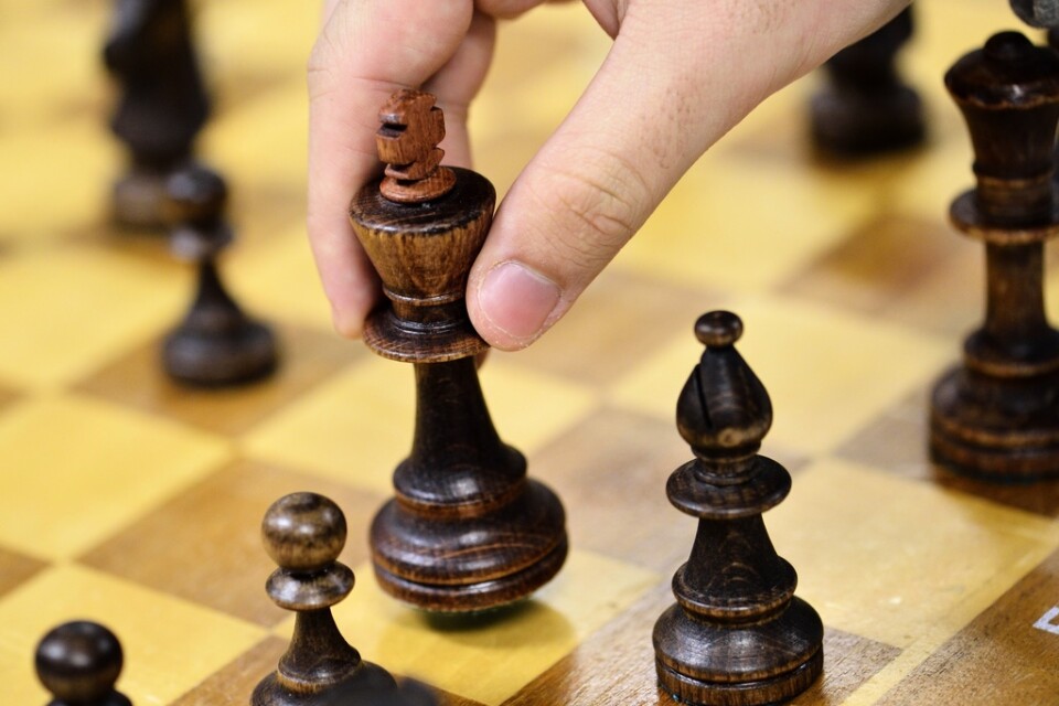 Joachim Nilsen valdes till Norges schackordförande i somras. Säsongen Nilsen fuskade var även världsettan Magnus Carlsen med i laget.