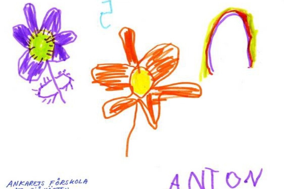 Här är det Anton, som går på Ankarets förskola i Sjöbo, som har ritat en giftig blomma och en snäll blomma. Den orange blomman smakar jordgubb och regnbågen lyser som en stjärna.