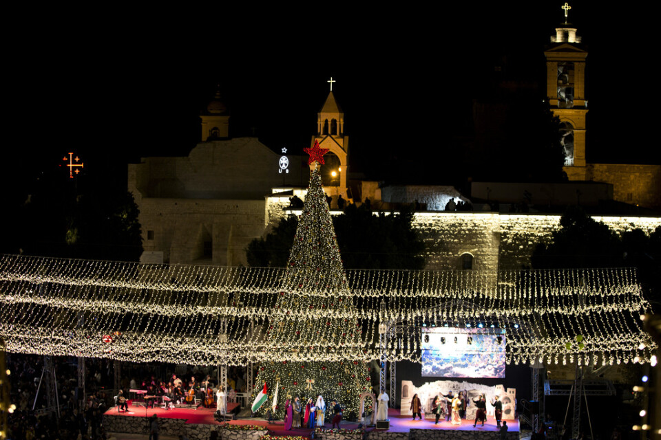 Palestinska kristna firar det årliga tändandet av ljus i en stor julgran på Krubbtorget i Betlehem, samma dag som krubbreliken kommit dit.