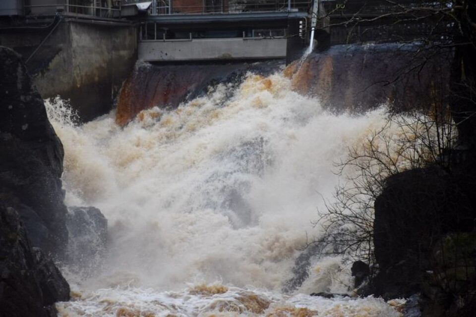 Cirka 20 kubikmeter vatten per sekund passerar vattenfallet vid Norrebro i centrala Ronneby.