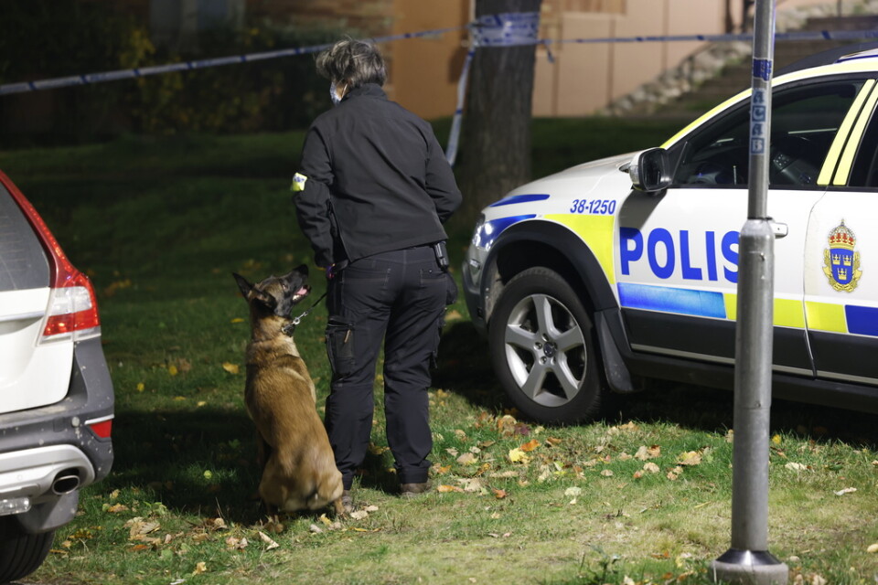 Polis med hund på plats vid platsen för skottlossningen på torsdagskvällen.