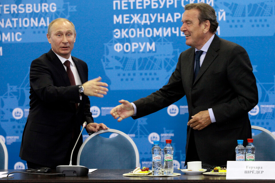 Rysslands president Vladimir Putin hälsar på förre tyske förbundskanslern Gerhard Schröder vid ett ekonomiskt forum i Sankt Petersburg i juni förra året. Arkivbild