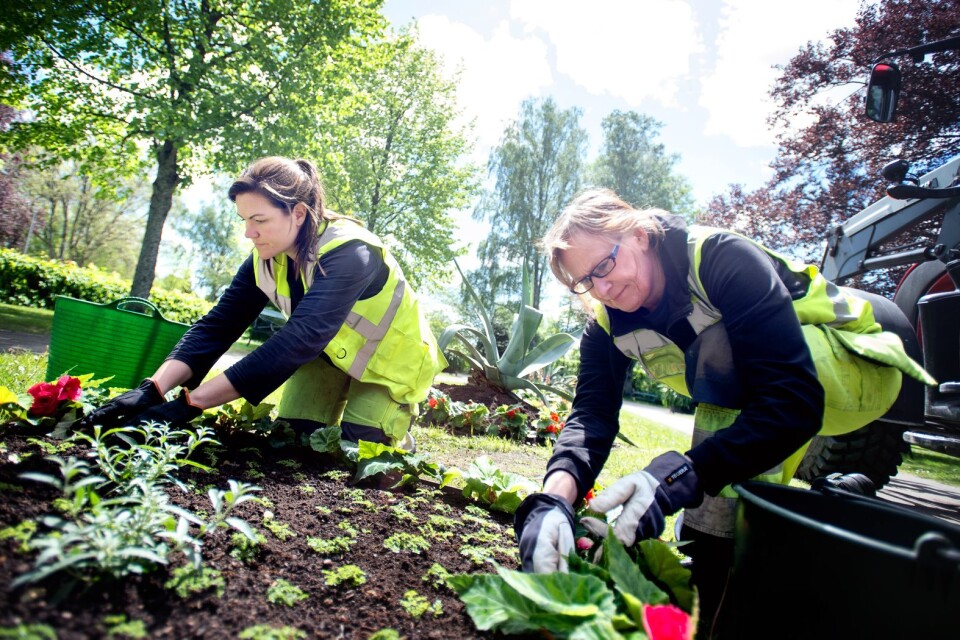 Smålandsposten skrev den 1 juni om trädgårdsmästarna Anna-Karin Andersson och Susanne Ivarsson som tillsammans med ett 40-tal andra fast anställda inom parken berörs av det blågröna styrets förslag att konkurrensutsätta grönyteskötseln.