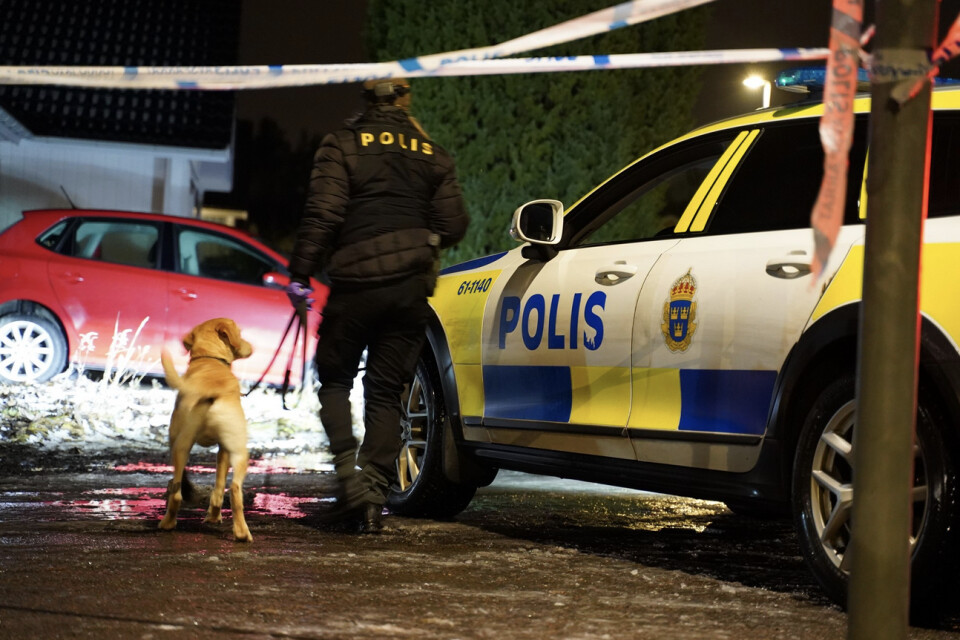 Specialsökhundar har använts i anslutning till brottsplatsen på Teleborg i Växjö.