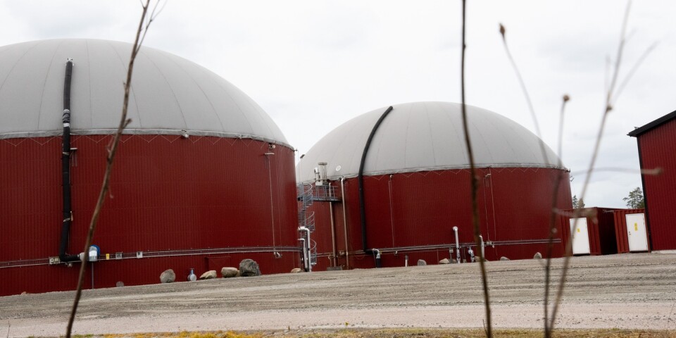 54 klagomål på dålig lukt från biogasen – ”kommer nog aldrig bli helt luktfritt”