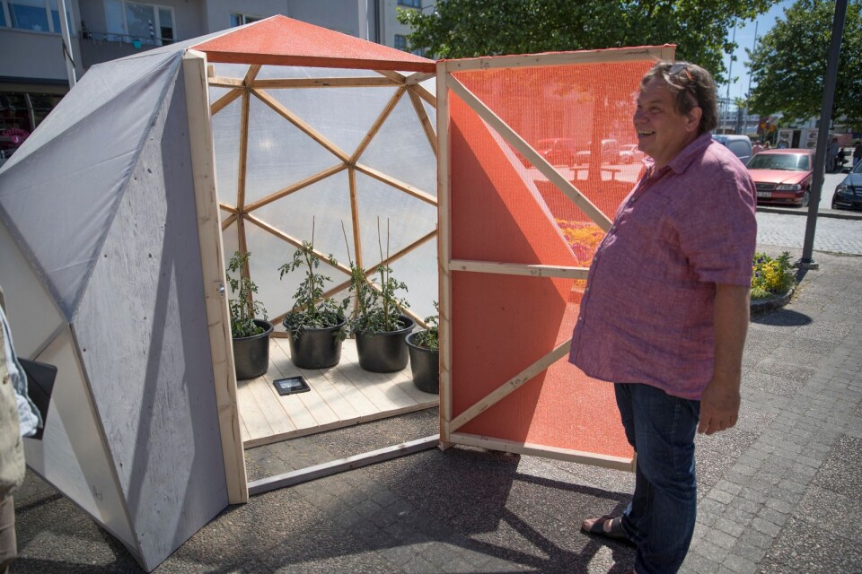 Peter Ojstersek med sitt växthus med doftande dahlior.