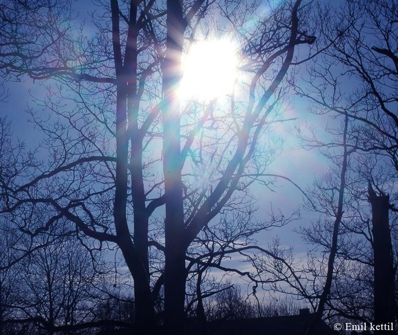 Våren cirkulerar runt ute i luften och solen strålar. Tog upp kameran, skapa en bild på väg mot Byttorp. Stekväder ute Foto: Emil Kettil