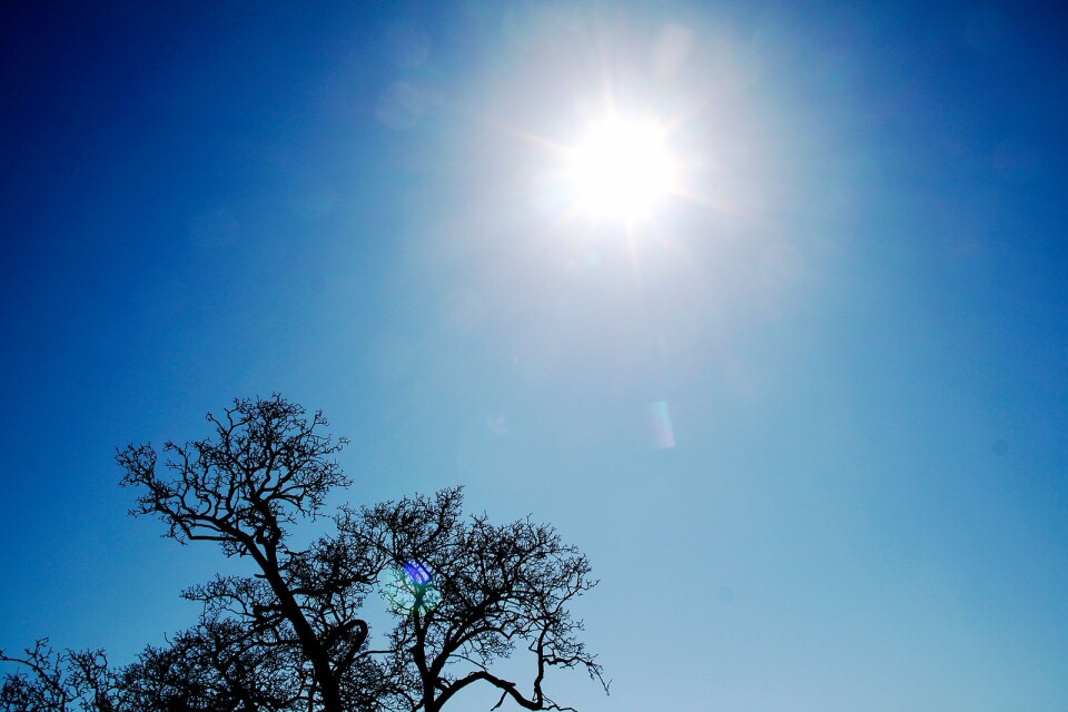 Enligt SMHI kommer påskvädret att bjuda på strålande solsken.