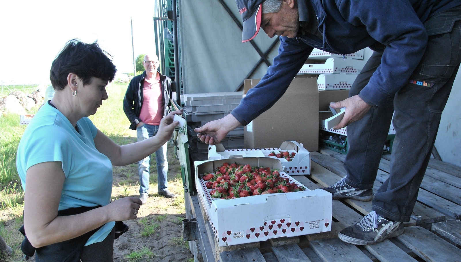 En låda fylld med jordgubbar byts mot en biljett allt medan Hans Torstensson avvaktar i bakgrunden.        Foto: Robert Rolf